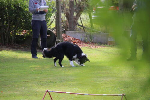 IMG 9823