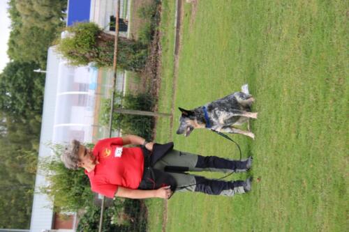 IMG 9856