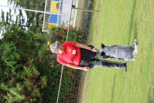 IMG 9891