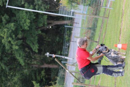 IMG 9930