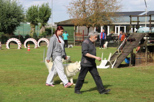 IMG 9976