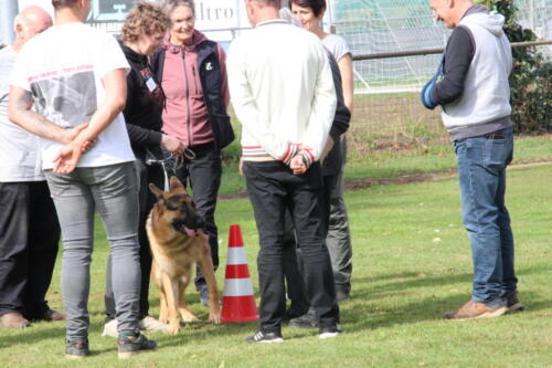 IMG 9983