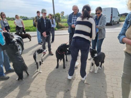 IMG-20250419-WA0159