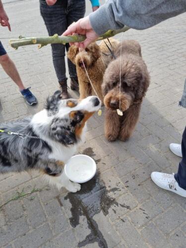 IMG-20250419-WA0171