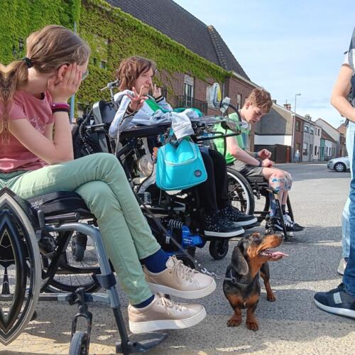 sintlodewijk2024-9