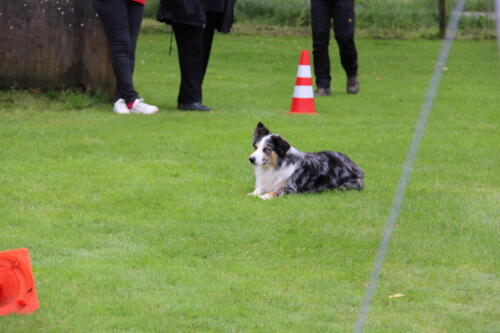 IMG 3738